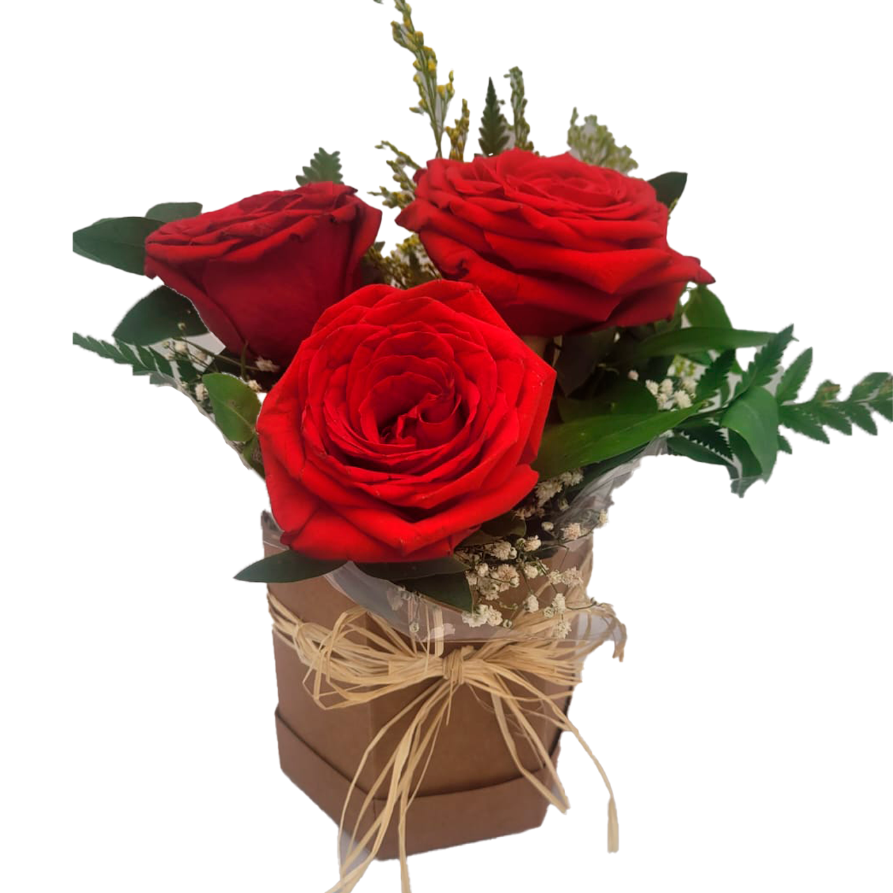 Box 3 Rosas 
