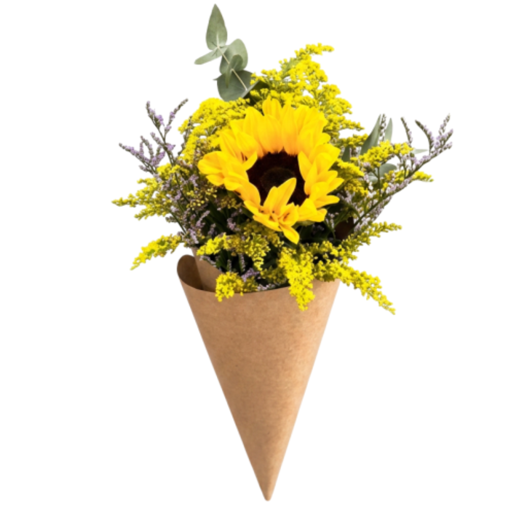 Cone Girrasol